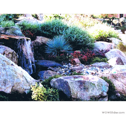 color in the garden