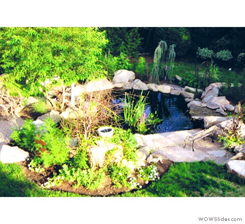 Garden Pond