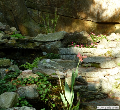 garden pond with waterfalls