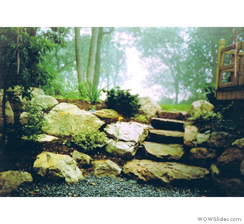 mystical morning with stone