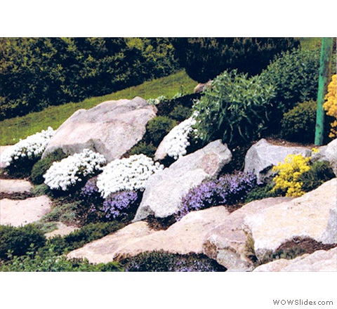 Rock Garden