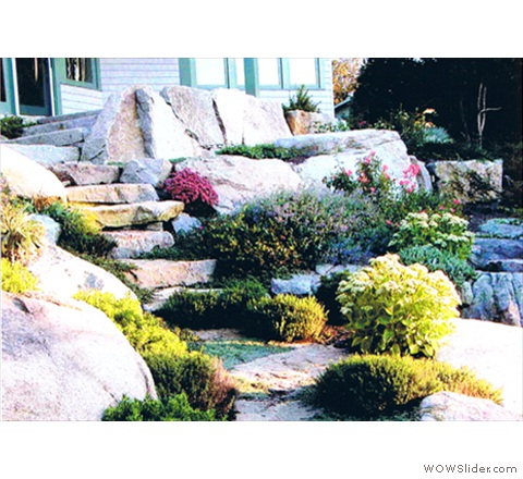 Stone in the garden