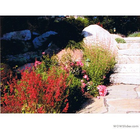 texture and stone